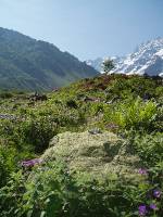 Youri - Ecrins 2005 046